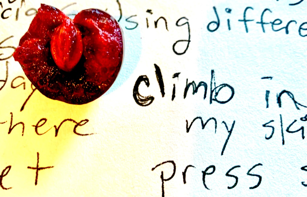 hyper saturated red cherry set on black and white text that reads, "sing differ / climb in / here my ski / et press"
